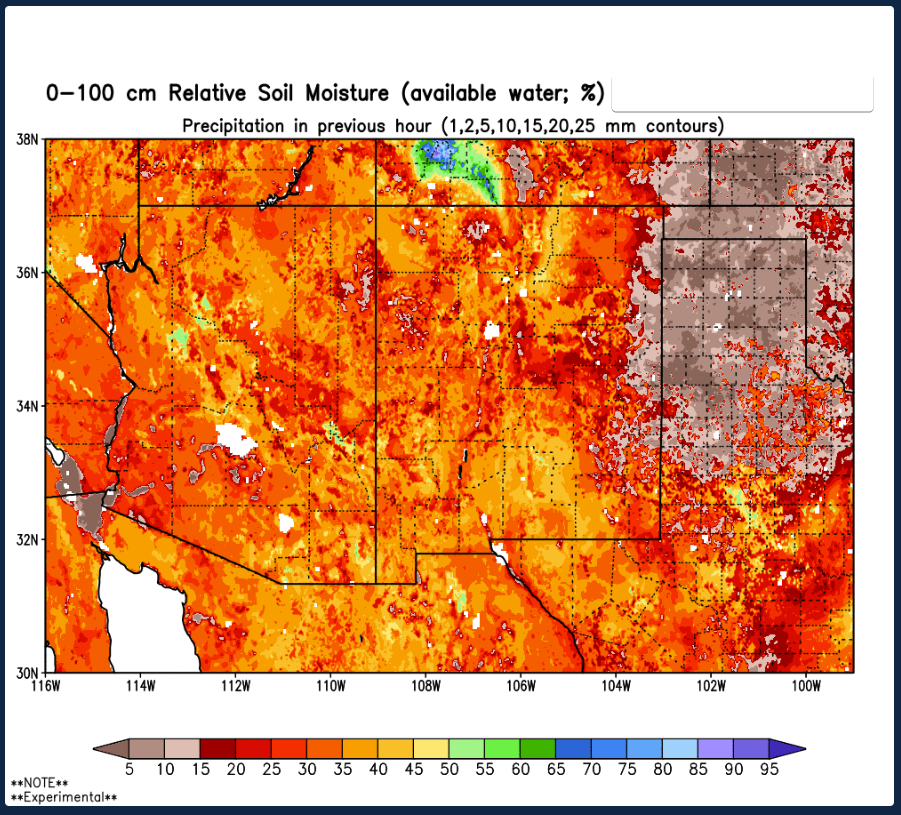 NMSU Zia Met dashboard placeholder