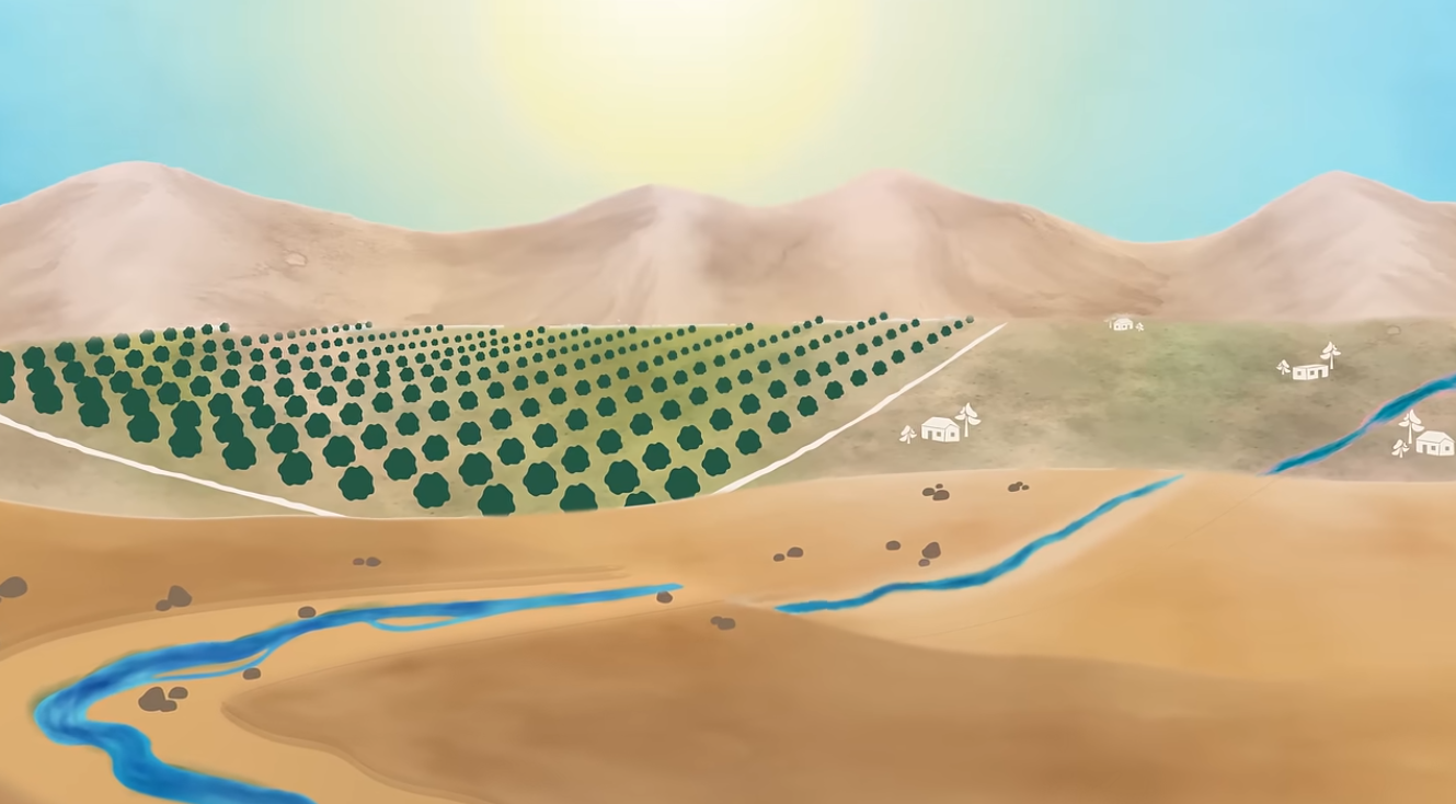 Water Education Video